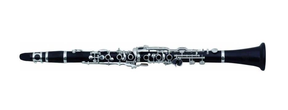 Кларнет ROY BENSON CG-523 Bb