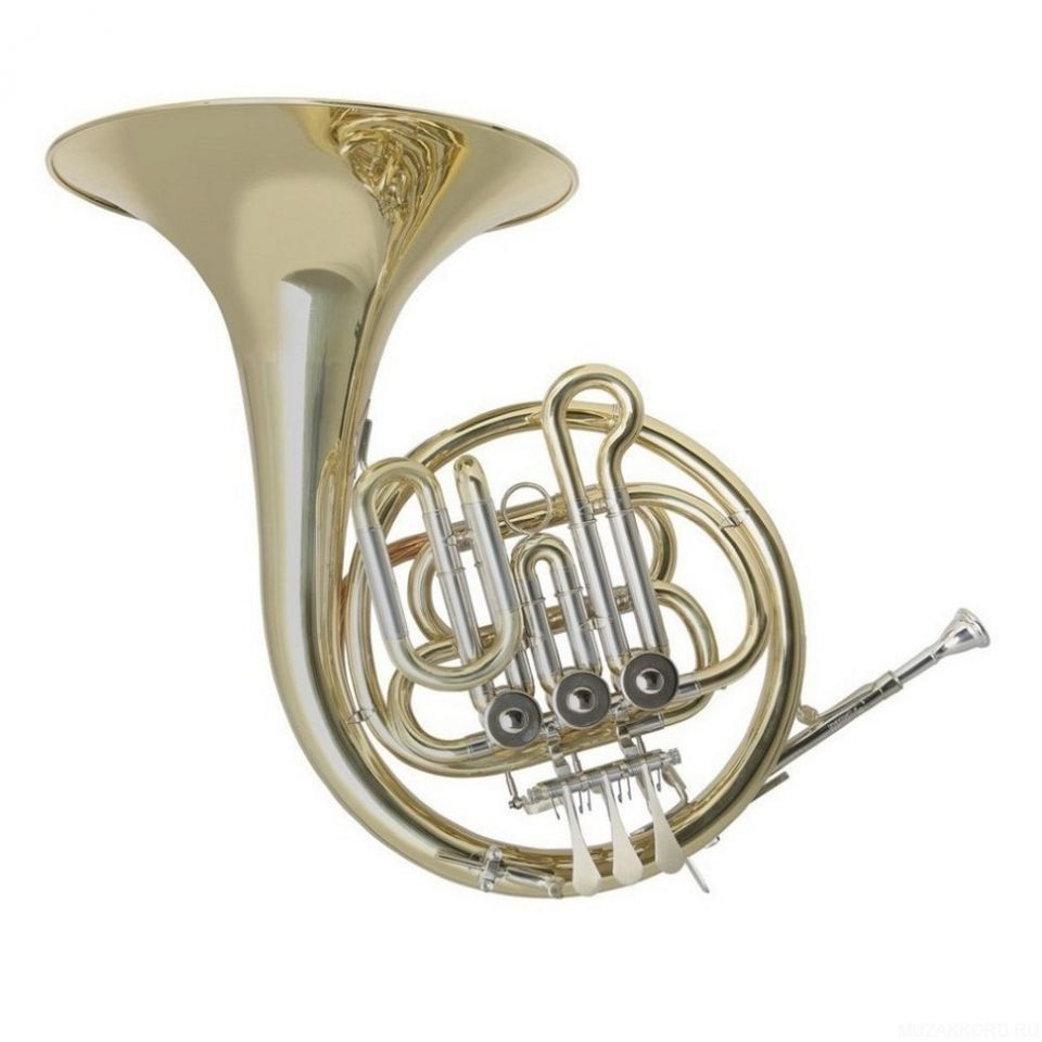 Валторна одинарная Bb HOLTON HR-650B