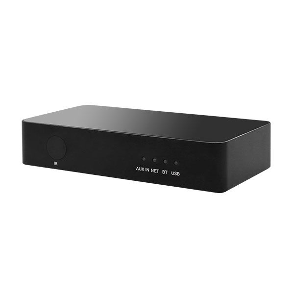 Пассивный сетевой потоковый плеер DSPPA DW-01