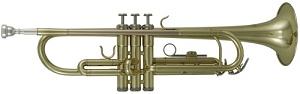 Труба Roy Benson TR-101 Bb