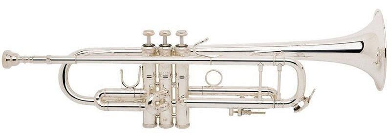 Труба Bb BACH LT180S72G Stradivarius