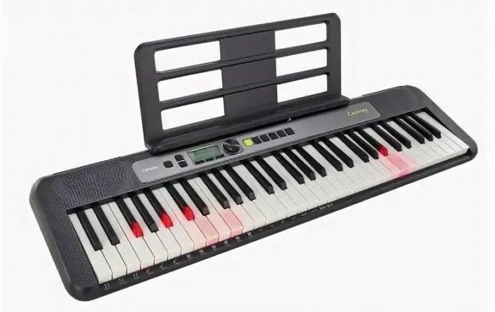 Casio LK-S250 Синтезатор 61 клавиша, черный
