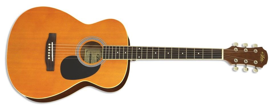 Акустическая гитара ARIA AFN-15 OR