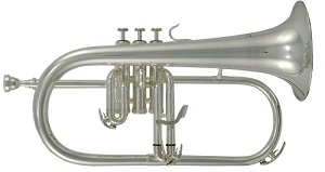 Флюгельгорн ROY BENSON FH-302S Bb