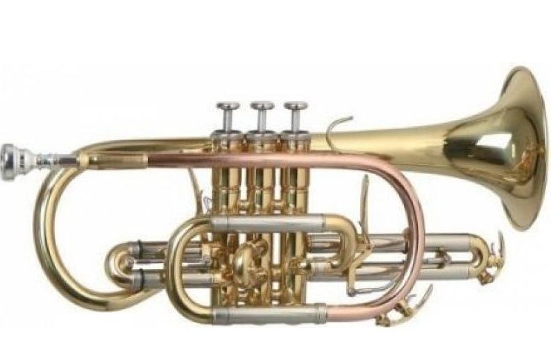 Корнет ROY BENSON CR-302 Bb