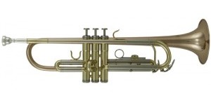 Roy Benson TR-202 Bb