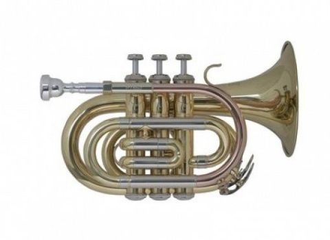 Труба-мини Bb BACH PT-650