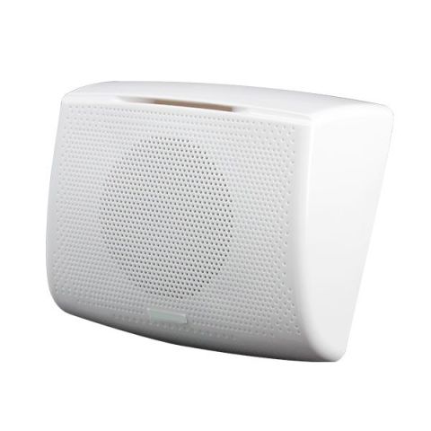 Настенный громкоговоритель LAudio AW410