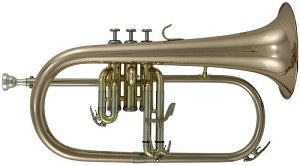 Флюгельгорн ROY BENSON FH-302G Bb