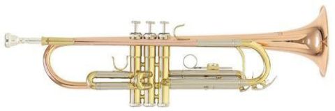 Tруба ROY BENSON TR-202G Bb